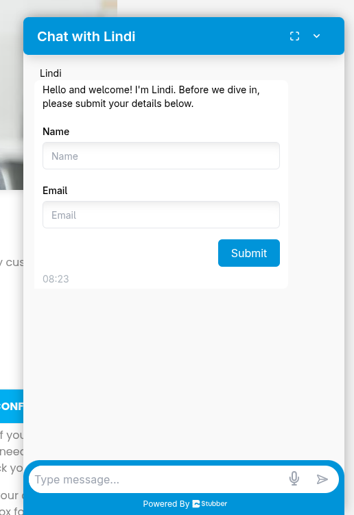 SafAir webchat interface example